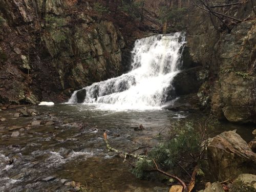 A cascading waterfall flows over rocky terrain, surrounded by trees and a serene natural landscape.