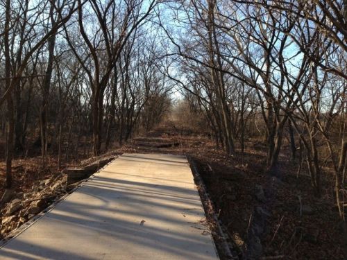 A concrete path stretches through a wooded area, flanked by bare trees and a clear blue sky.