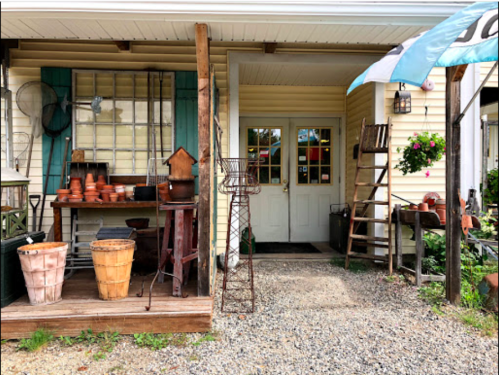 A charming entrance to a rustic shop, featuring vintage items and potted plants on display.