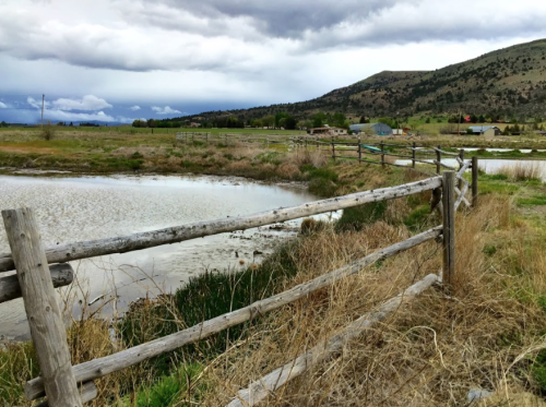 A serene landscape featuring a wooden fence, a pond, and rolling hills under a cloudy sky.