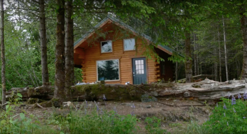 A cozy wooden cabin surrounded by trees and greenery, with a large log in the foreground.