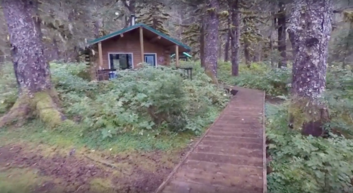 A wooden path leads to a cozy cabin surrounded by lush greenery and tall trees in a forested area.