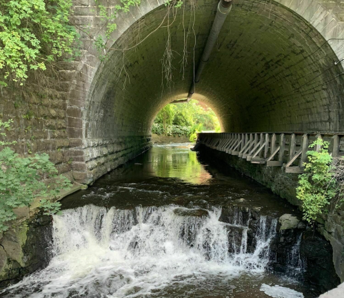 A view of a stone tunnel with water flowing through, surrounded by greenery and sunlight at the tunnel's exit.