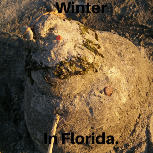 A sand snowman with a stick for arms and stones for eyes, set against a sandy background, labeled "Winter in Florida."