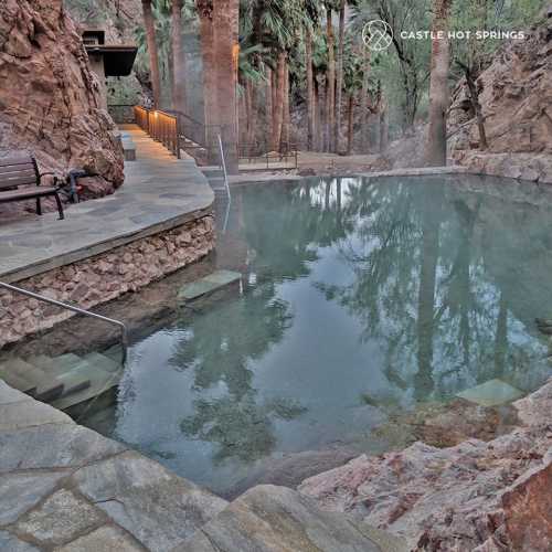 A serene hot springs pool surrounded by palm trees and rocky terrain, with a stone pathway leading to it.