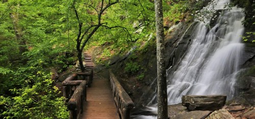 A serene forest scene featuring a wooden bridge beside a cascading waterfall surrounded by lush greenery.