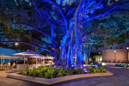 A large tree illuminated in blue light at night, surrounded by seating and greenery in a tranquil outdoor setting.