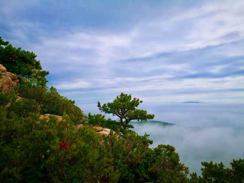 A scenic view of a rocky landscape with greenery, shrouded in mist under a cloudy sky.