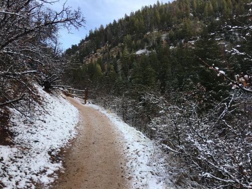 A snowy path winds through a forested area, with trees lining the trail and a mountain in the background.