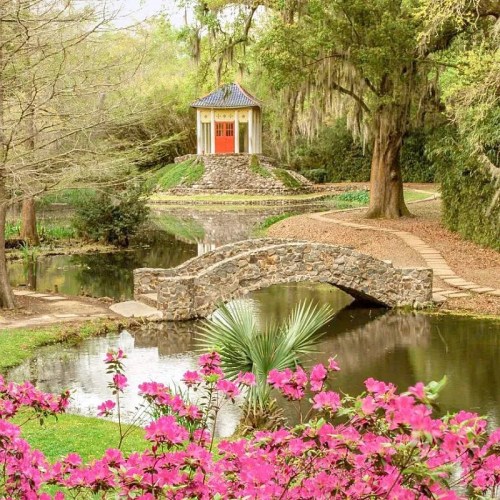 A serene garden scene featuring a stone bridge, a gazebo, and vibrant pink flowers by a calm pond.