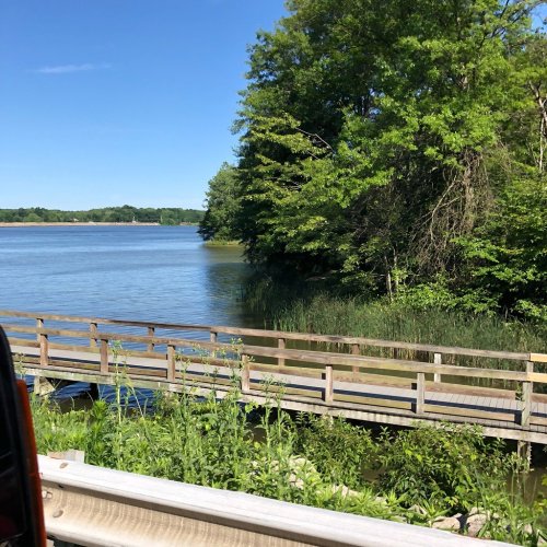 A serene view of a river with a wooden bridge, surrounded by lush greenery and a clear blue sky.