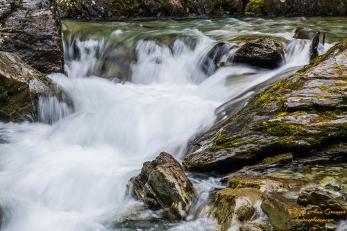 A serene stream flows over smooth rocks, surrounded by lush greenery and moss, creating a tranquil natural scene.
