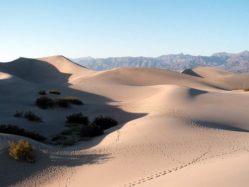 A vast desert landscape with rolling sand dunes and distant mountains under a clear blue sky.