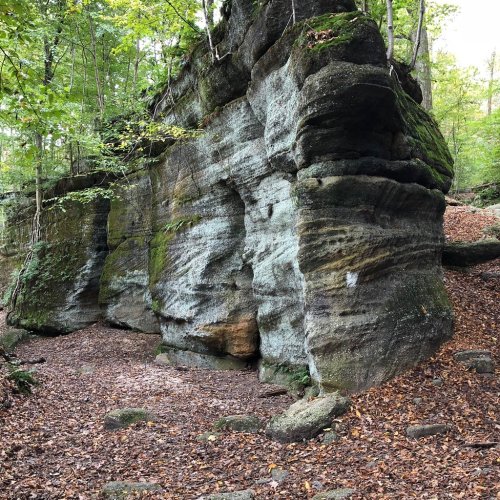 A rocky outcrop in a forest, surrounded by trees and fallen leaves, showcasing natural textures and earthy colors.