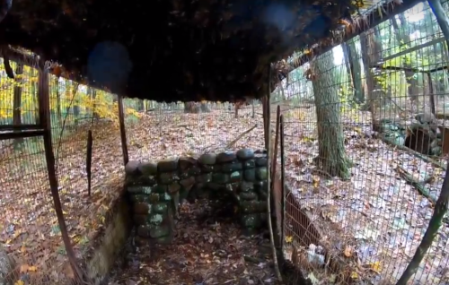 A rustic shelter made of stones and wood, surrounded by trees and fallen leaves in a forested area.