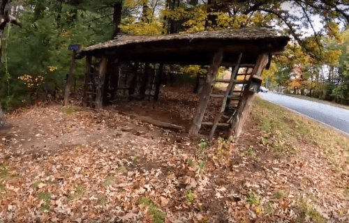 A rustic wooden shelter with a thatched roof, surrounded by autumn leaves and trees, near a road.