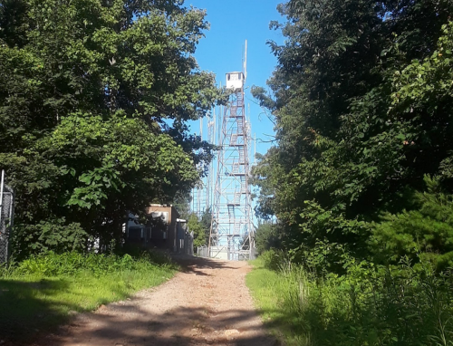 A dirt path leads to a tall communication tower surrounded by trees under a clear blue sky.