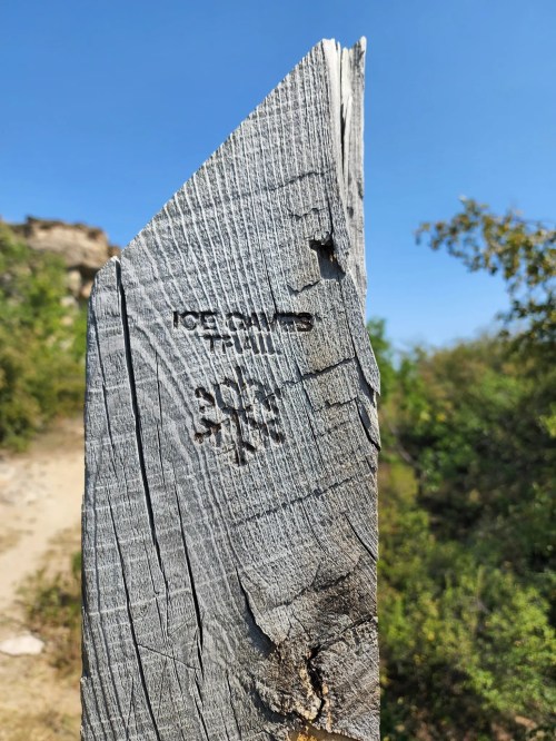 A weathered wooden post with carvings, set against a clear blue sky and green foliage in the background.