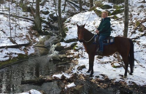 A person on a horse stands by a snowy creek in a wooded area, surrounded by trees and rocks.