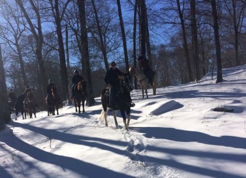 A group of horseback riders traverses a snowy path through a forest on a sunny winter day.