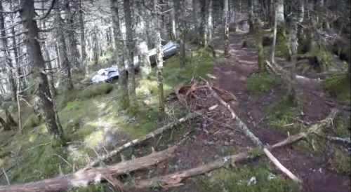A forest scene with dense trees and a dirt path, featuring a partially visible car among the foliage.