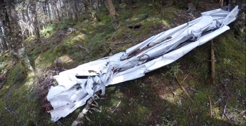A twisted piece of metal debris lies on the forest floor, surrounded by moss and trees.