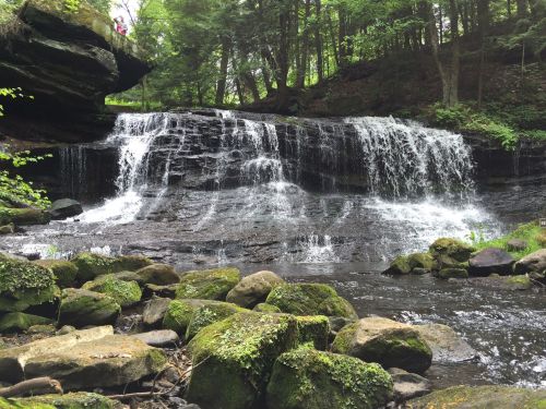 A serene waterfall cascades over rocks, surrounded by lush greenery and trees in a peaceful natural setting.