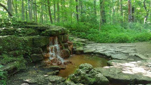 A serene forest scene featuring a small waterfall cascading into a rocky pool, surrounded by lush green foliage.