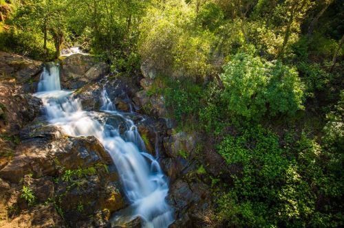 A serene waterfall cascades over rocks, surrounded by lush green foliage and sunlight filtering through the trees.