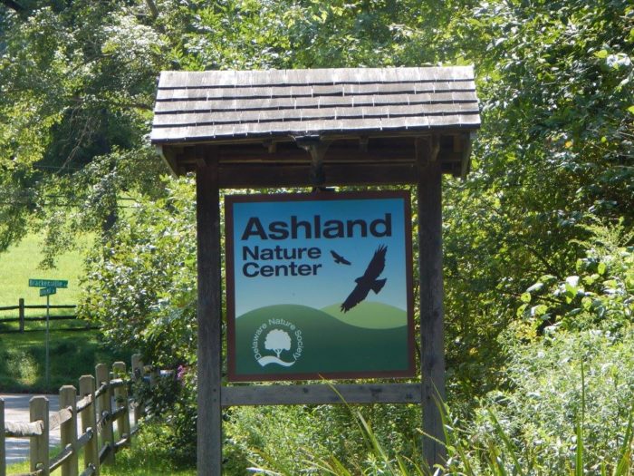 Spring Awakens at Ashland Nature Center