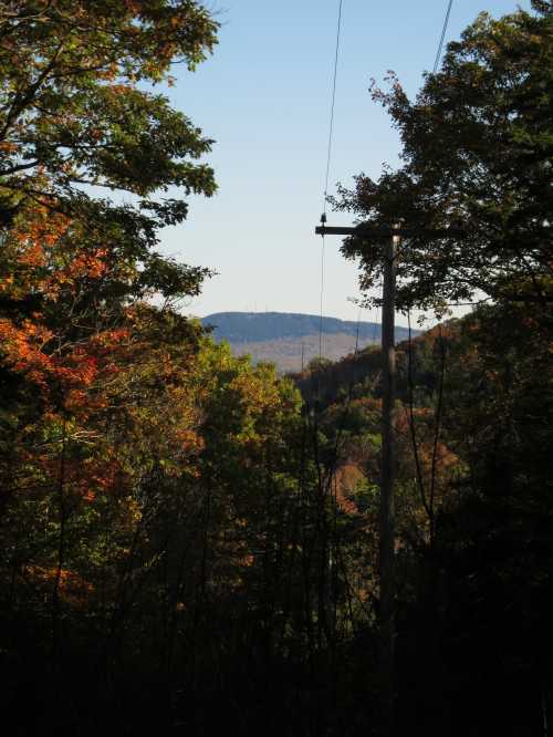 A scenic view of a distant mountain framed by colorful autumn trees and a power line in the foreground.