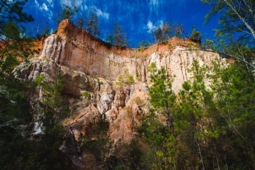 A steep, rocky cliff with trees at the top, under a bright blue sky with scattered clouds.