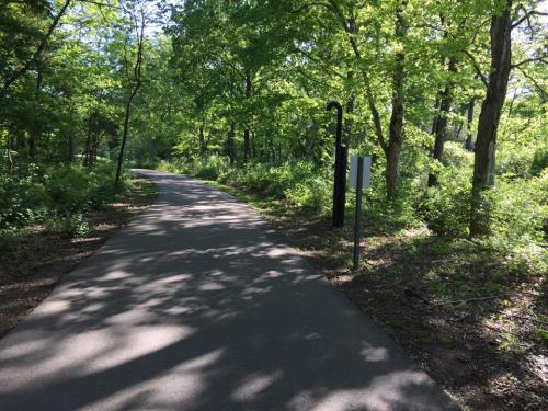 A paved path winds through a lush green forest, surrounded by trees and dappled sunlight.