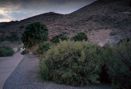 A winding path leads through lush greenery and palm trees, set against a backdrop of rocky hills under a cloudy sky.