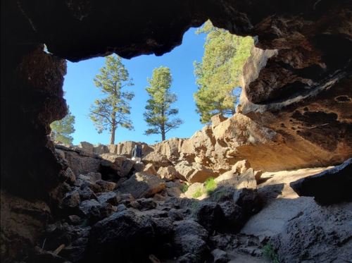 View from a cave opening, showing rocky terrain and tall pine trees against a clear blue sky.