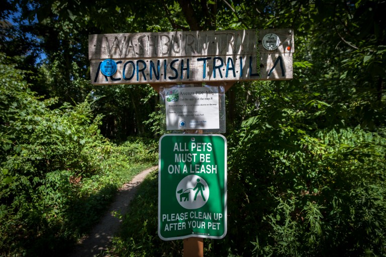 The Trail That Leads You Back in Time