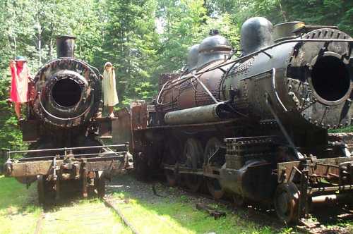 Two vintage steam locomotives sit side by side in a forested area, showcasing their weathered, rusty exteriors.