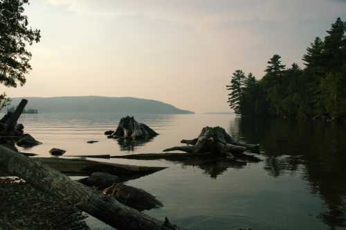 Serene lake view with calm waters, scattered logs, and trees lining the shore under a hazy sky.