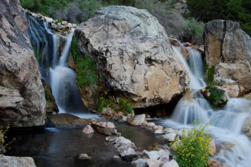 A serene waterfall cascades over large rocks, surrounded by greenery and wildflowers in a tranquil natural setting.