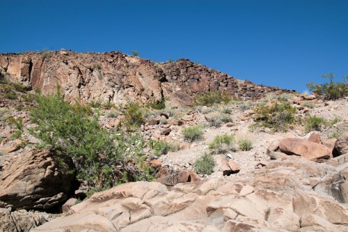 A rocky desert landscape with sparse vegetation under a clear blue sky.