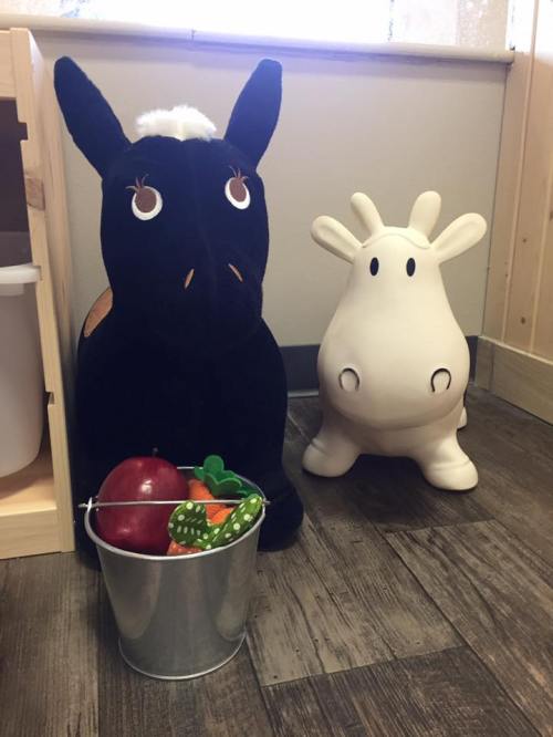 A black plush horse and a white cow toy beside a bucket filled with colorful toy fruits.