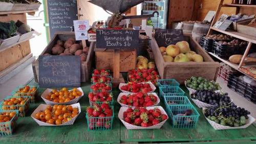 A vibrant farmers market display with baskets of strawberries, grapes, oranges, and various vegetables on a green table.
