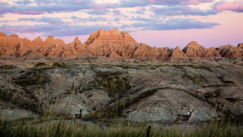 Two deer stand in a rugged landscape with colorful rock formations and a pastel sky at sunset.