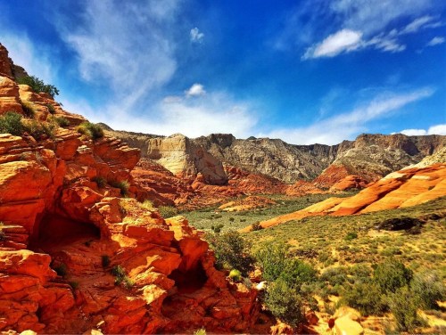 Vibrant red rock formations under a blue sky, with green shrubs and distant mountains in a scenic desert landscape.