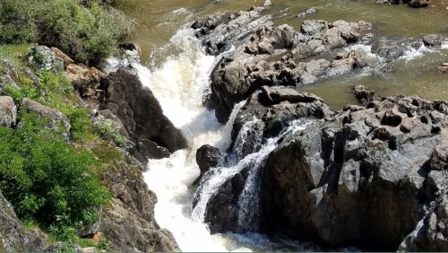 A rocky riverbank with rushing water cascading over boulders, surrounded by lush greenery.