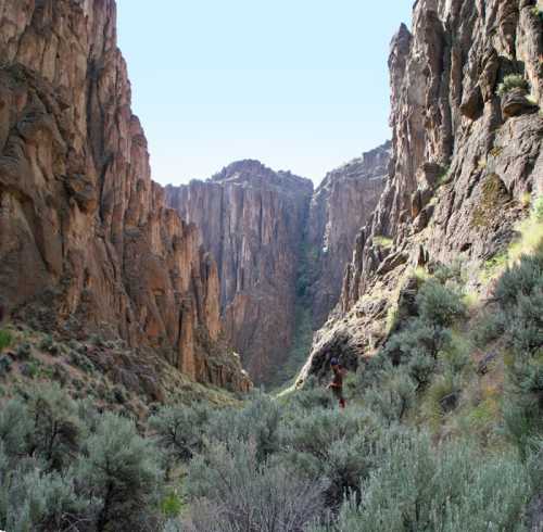 A narrow canyon surrounded by towering rock formations and sparse vegetation under a clear blue sky.