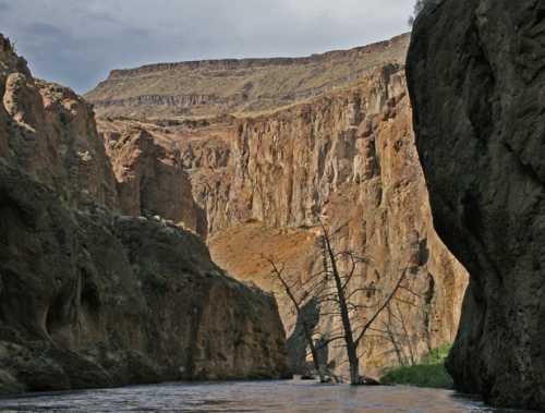 A serene river flows through a rugged canyon, flanked by towering cliffs and a lone, bare tree.