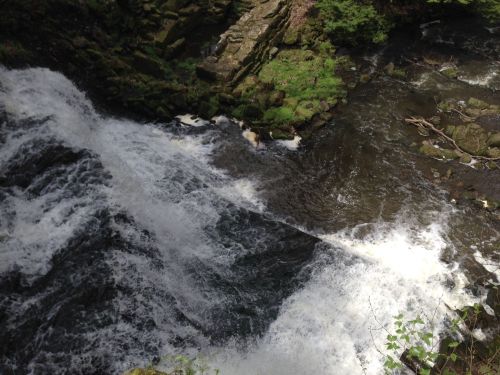 Aerial view of a rushing waterfall cascading over rocks into a dark river surrounded by lush greenery.