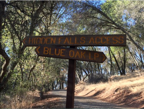 Wooden signpost with arrows pointing to "Hidden Falls Access" and "Blue Oak LP" along a dirt path surrounded by trees.