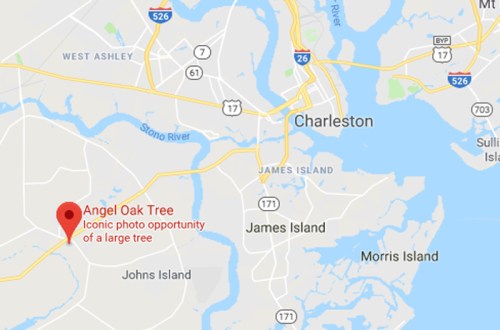 Map showing Charleston, South Carolina, highlighting the location of the Angel Oak Tree as a notable photo opportunity.